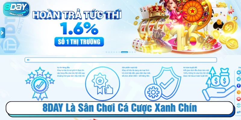 Giới thiệu 8DAY là web cá cược xanh chín