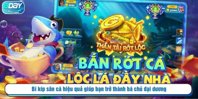 Bí kíp săn cá hiệu quả giúp bạn trở thành bá chủ đại dương