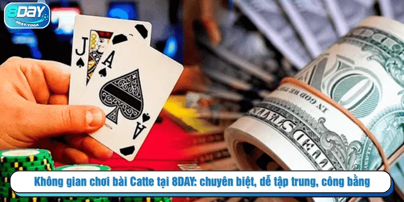 Không gian chơi bài Catte tại 8DAY: chuyên biệt, dễ tập trung, công bằng