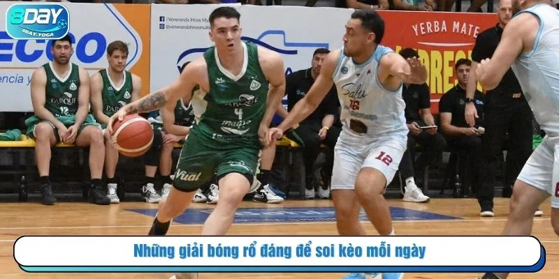 Những giải bóng rổ đáng để soi kèo mỗi ngày